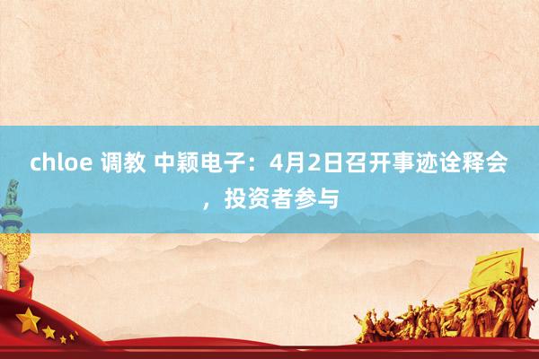 chloe 调教 中颖电子：4月2日召开事迹诠释会，投资者参与