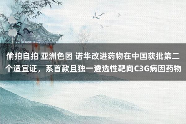 偷拍自拍 亚洲色图 诺华改进药物在中国获批第二个适宜证，系首款且独一遴选性靶向C3G病因药物