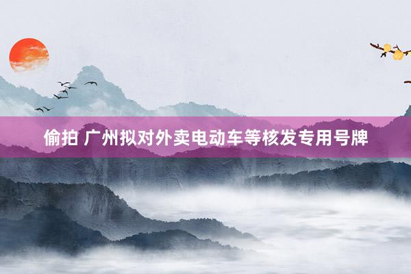 偷拍 广州拟对外卖电动车等核发专用号牌