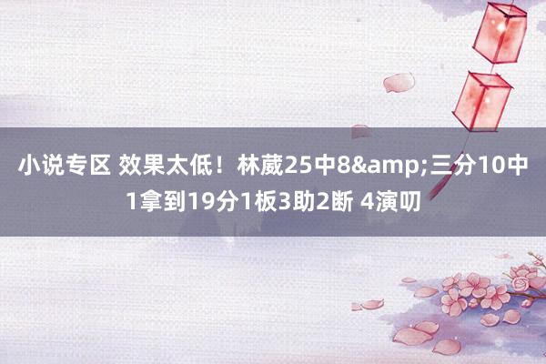 小说专区 效果太低！林葳25中8&三分10中1拿到19分1板3助2断 4演叨