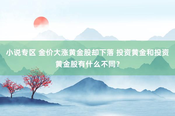 小说专区 金价大涨黄金股却下落 投资黄金和投资黄金股有什么不同？