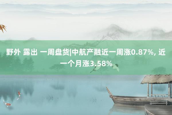 野外 露出 一周盘货|中航产融近一周涨0.87%， 近一个月涨3.58%