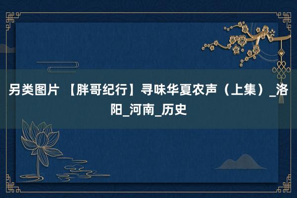 另类图片 【胖哥纪行】寻味华夏农声（上集）_洛阳_河南_历史