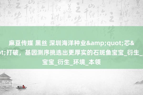 麻豆传媒 黑丝 深圳海洋种业&quot;芯&quot;打破，基因测序挑选出更厚实的石斑鱼宝宝_衍生_环境_本领