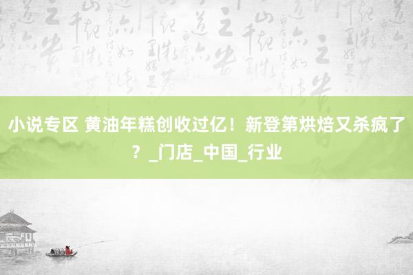 小说专区 黄油年糕创收过亿！新登第烘焙又杀疯了？_门店_中国_行业