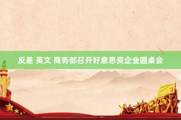 反差 英文 商务部召开好意思资企业圆桌会