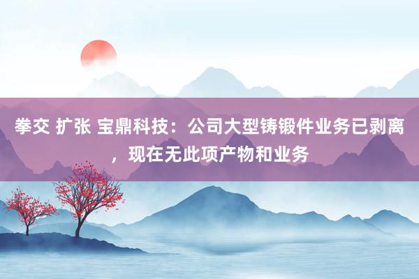 拳交 扩张 宝鼎科技：公司大型铸锻件业务已剥离，现在无此项产物和业务