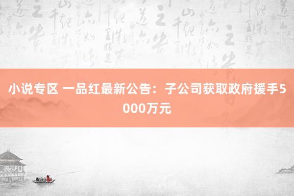 小说专区 一品红最新公告：子公司获取政府援手5000万元