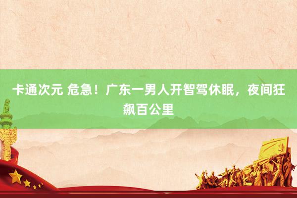卡通次元 危急！广东一男人开智驾休眠，夜间狂飙百公里