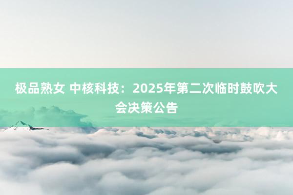 极品熟女 中核科技：2025年第二次临时鼓吹大会决策公告