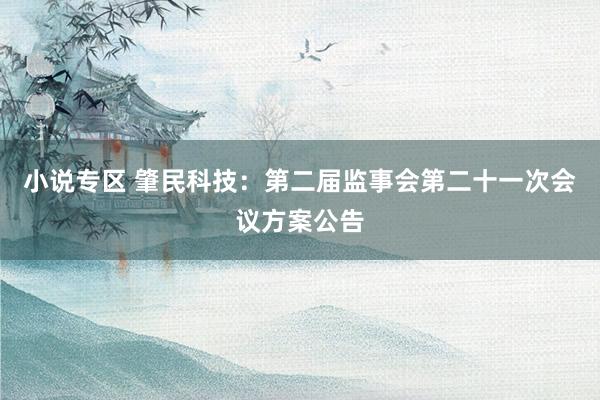 小说专区 肇民科技：第二届监事会第二十一次会议方案公告