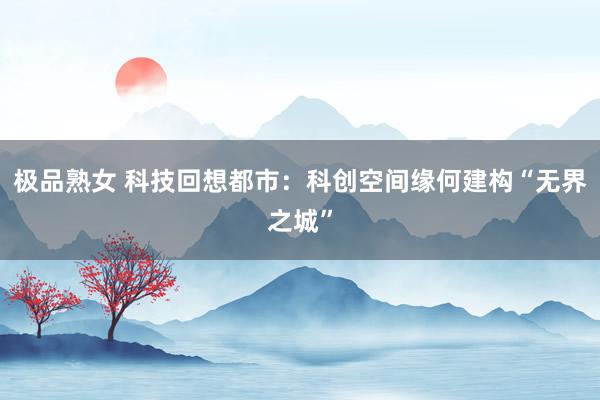 极品熟女 科技回想都市：科创空间缘何建构“无界之城”