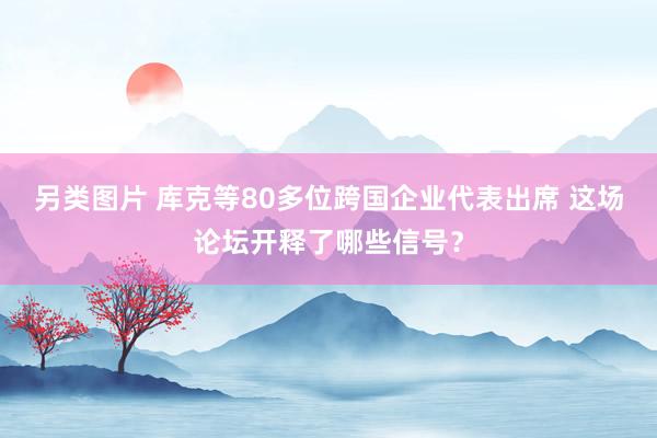 另类图片 库克等80多位跨国企业代表出席 这场论坛开释了哪些信号？