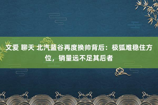 文爱 聊天 北汽蓝谷再度换帅背后：极狐难稳住方位，销量远不足其后者