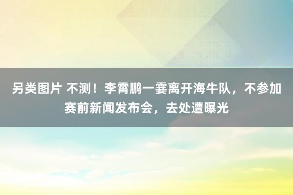 另类图片 不测！李霄鹏一霎离开海牛队，不参加赛前新闻发布会，去处遭曝光