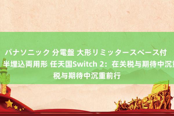 パナソニック 分電盤 大形リミッタースペース付 露出・半埋込両用形 任天国Switch 2：在关税与期待中沉重前行