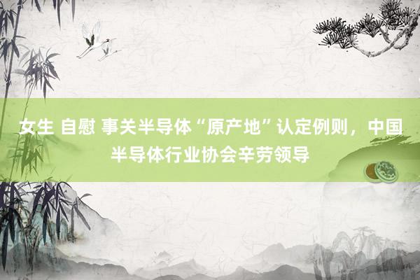 女生 自慰 事关半导体“原产地”认定例则，中国半导体行业协会辛劳领导