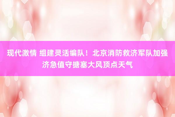 现代激情 组建灵活编队！北京消防救济军队加强济急值守搪塞大风顶点天气