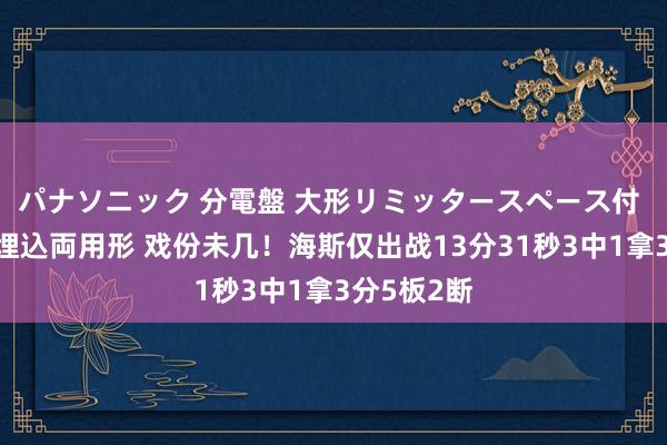 パナソニック 分電盤 大形リミッタースペース付 露出・半埋込両用形 戏份未几！海斯仅出战13分31秒3中1拿3分5板2断