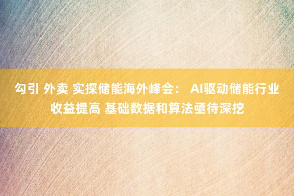 勾引 外卖 实探储能海外峰会： AI驱动储能行业收益提高 基础数据和算法亟待深挖