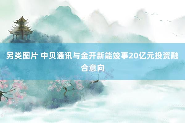 另类图片 中贝通讯与金开新能竣事20亿元投资融合意向