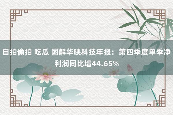 自拍偷拍 吃瓜 图解华映科技年报：第四季度单季净利润同比增44.65%