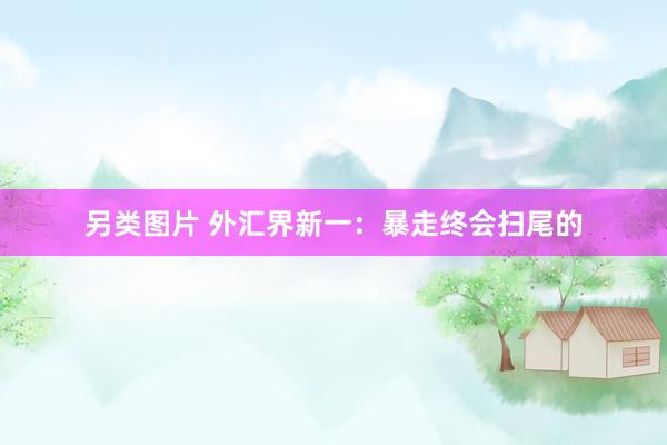 另类图片 外汇界新一：暴走终会扫尾的