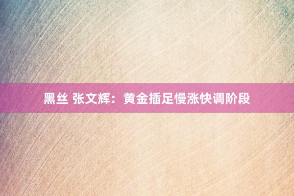 黑丝 张文辉：黄金插足慢涨快调阶段