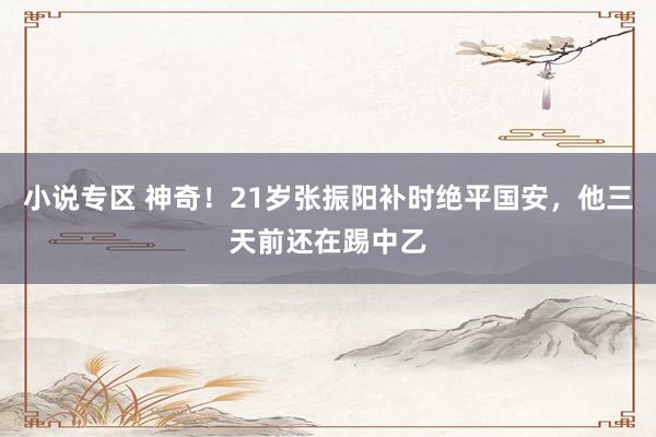 小说专区 神奇！21岁张振阳补时绝平国安，他三天前还在踢中乙