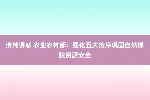 清纯诱惑 农业农村部：强化五大按序巩固自然橡胶资源安全