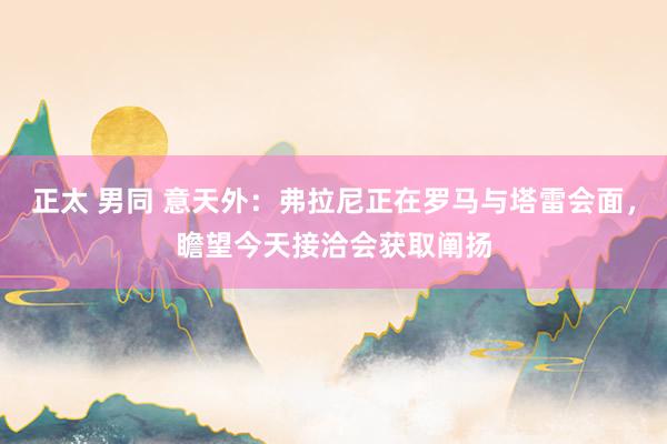 正太 男同 意天外：弗拉尼正在罗马与塔雷会面，瞻望今天接洽会获取阐扬