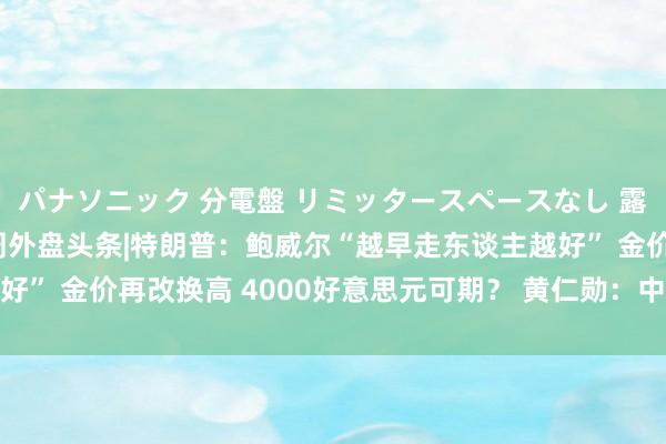パナソニック 分電盤 リミッタースペースなし 露出・半埋込両用形 一周外盘头条|特朗普：鲍威尔“越早走东谈主越好” 金价再改换高 4000好意思元可期？ 黄仁勋：中国市集至关紧迫
