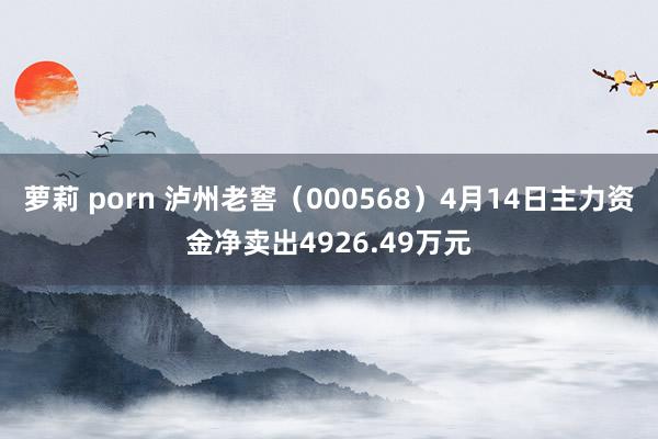 萝莉 porn 泸州老窖（000568）4月14日主力资金净卖出4926.49万元