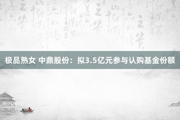 极品熟女 中鼎股份：拟3.5亿元参与认购基金份额