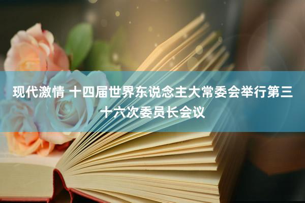现代激情 十四届世界东说念主大常委会举行第三十六次委员长会议