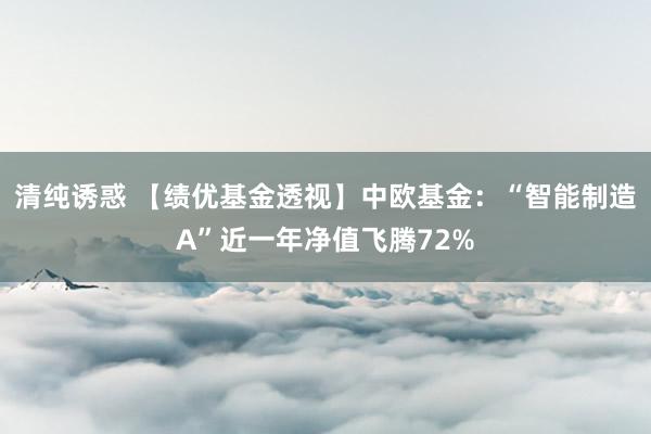 清纯诱惑 【绩优基金透视】中欧基金：“智能制造A”近一年净值飞腾72%