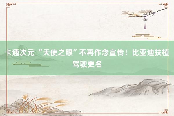 卡通次元 “天使之眼”不再作念宣传！比亚迪扶植驾驶更名