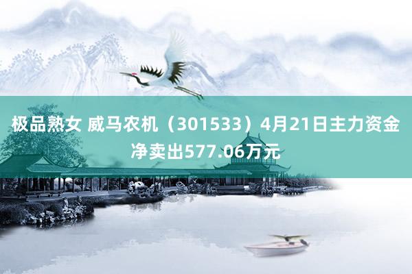 极品熟女 威马农机（301533）4月21日主力资金净卖出577.06万元