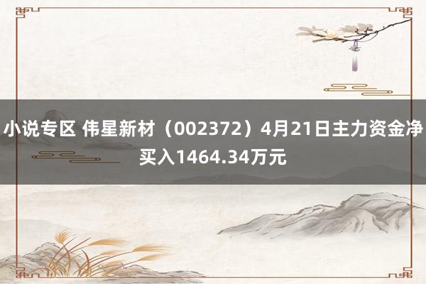 小说专区 伟星新材（002372）4月21日主力资金净买入1464.34万元