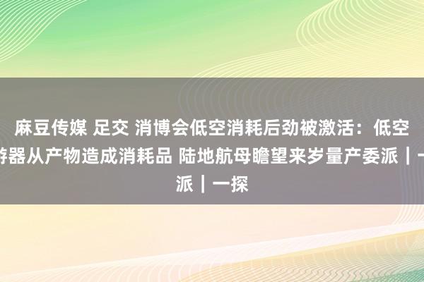 麻豆传媒 足交 消博会低空消耗后劲被激活：低空遨游器从产物造成消耗品 陆地航母瞻望来岁量产委派｜一探