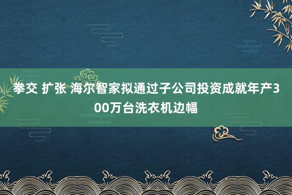 拳交 扩张 海尔智家拟通过子公司投资成就年产300万台洗衣机边幅