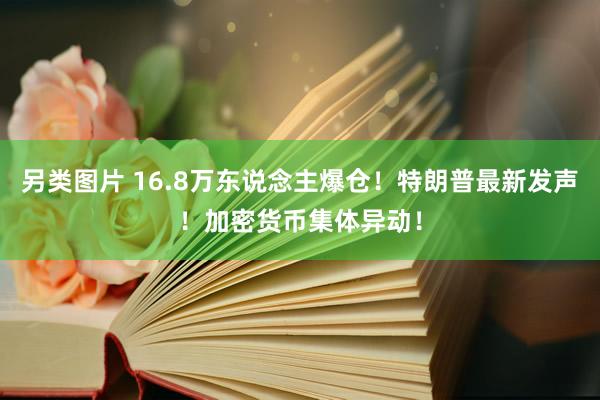另类图片 16.8万东说念主爆仓！特朗普最新发声！加密货币集体异动！