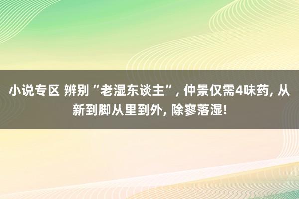 小说专区 辨别“老湿东谈主”， 仲景仅需4味药， 从新到脚从里到外， 除寥落湿!